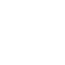 Icône