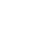 Icône